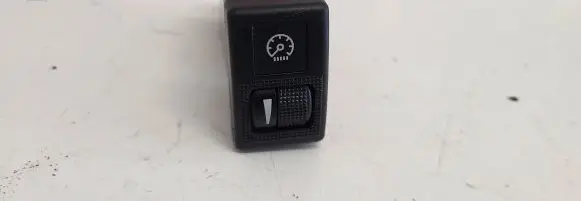 Panel lighting control switch