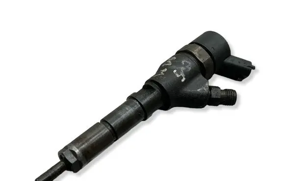 Citroen C5 Fuel injector 0445110076