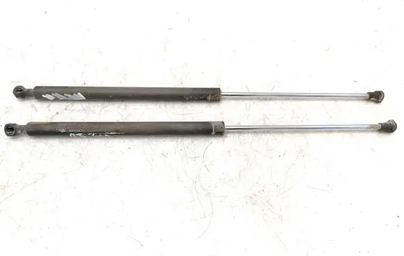 Tailgate strut