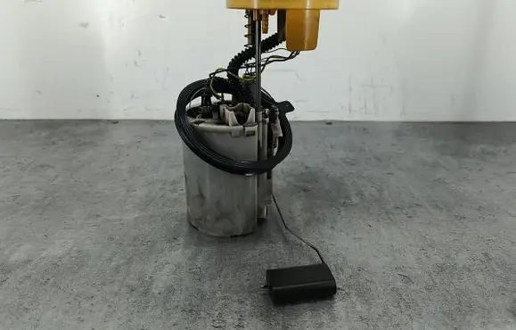 Volkswagen PASSAT B6 In-tank fuel pump 3C0919050G