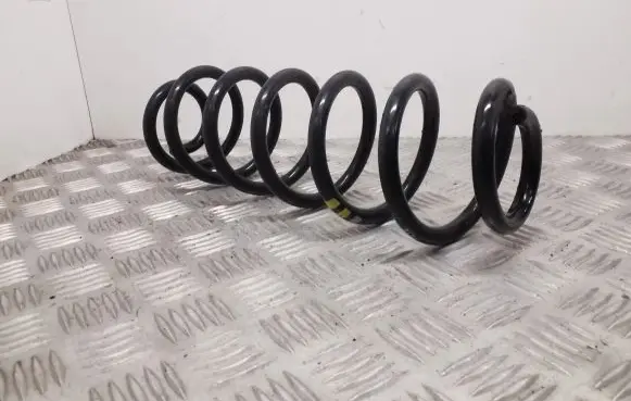 Audi Q3 8U Rear coil spring