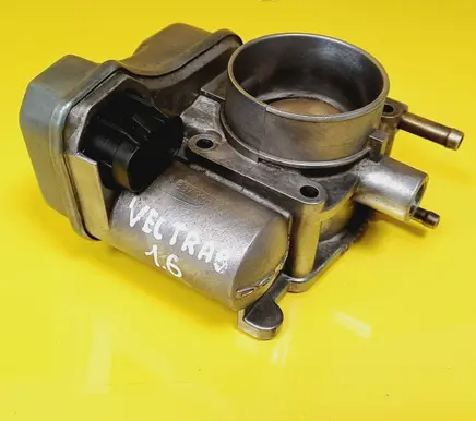 Throttle body valve