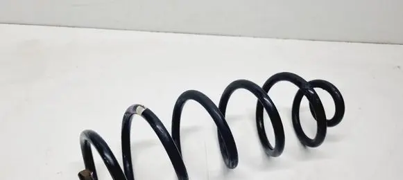 Rear coil spring
