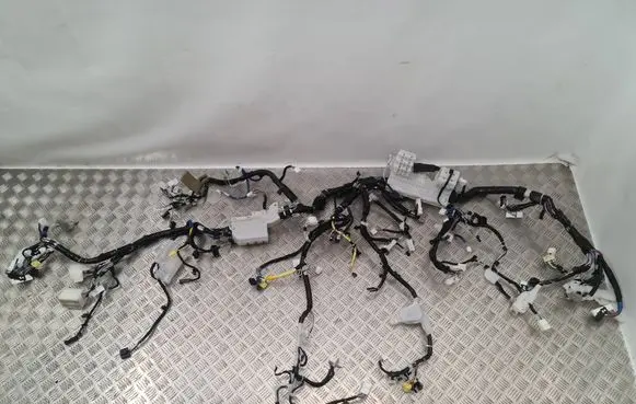 Toyota Land Cruiser (J150) Other wiring loom 821416BV10D