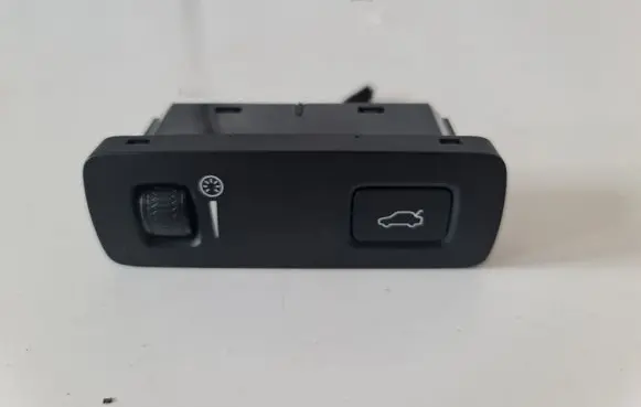 Tailgate opening switch