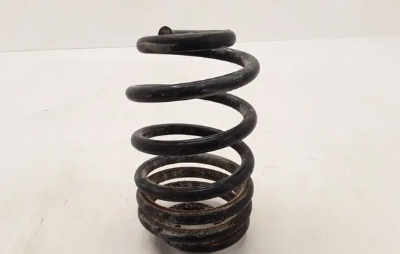 Nissan Primastar Rear coil spring 550202870R