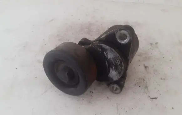 KIA Carens III Alternator belt tensioner 2528127
