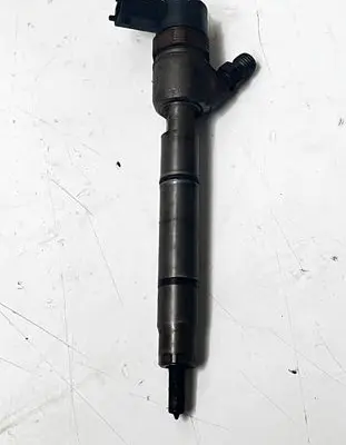 KIA Ceed Fuel injector 0445110320 338002A900