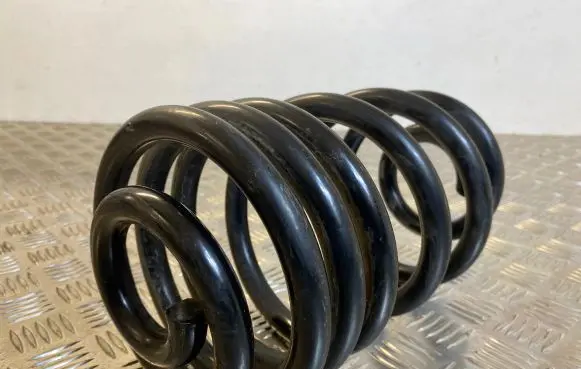 Renault Trafic II (X83) Rear coil spring