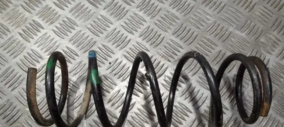 Suzuki Alto Rear coil spring