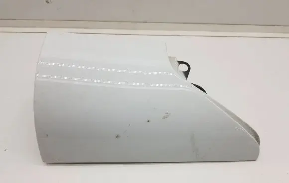 Rear/tail light trim molding