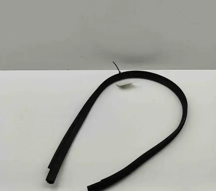 Audi A5 Rubber seal front coupe door 8W6854543