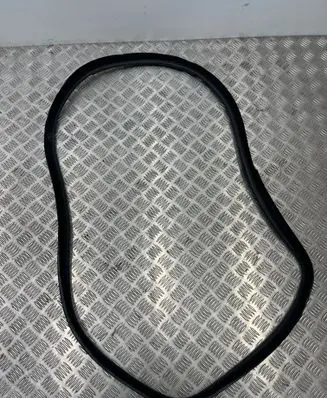 BMW 4 F32 F33 Rear door rubber seal (on body) 7401893
