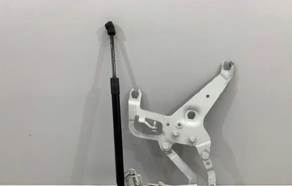 BMW X6 F16 Engine bonnet/hood hinges 7294529
