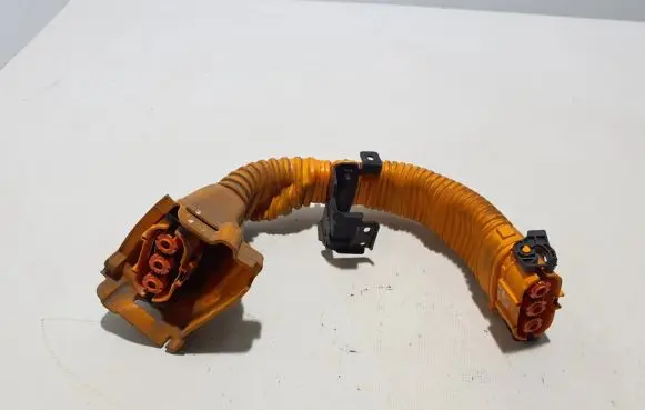 Other wiring loom