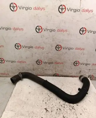 Nissan Qashqai Coolant pipe/hose 
