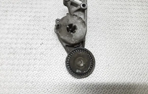 Skoda Octavia Mk2 (1Z) Generator/alternator belt tensioner 06A903315F