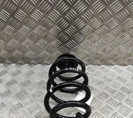 Nissan Leaf II (ZE1) Rear coil spring 550205SJ1B