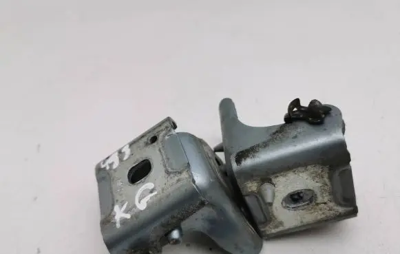 Peugeot 508 Rear door hinge set 