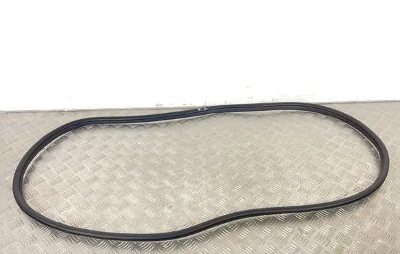 MG ZS Rear door rubber seal (on body) 11918078
