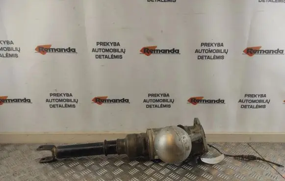 Volkswagen Phaeton Shock absorber/damper/air suspension 3D0616001K