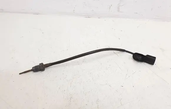 Renault Kangoo II Intake air temperature sensor 