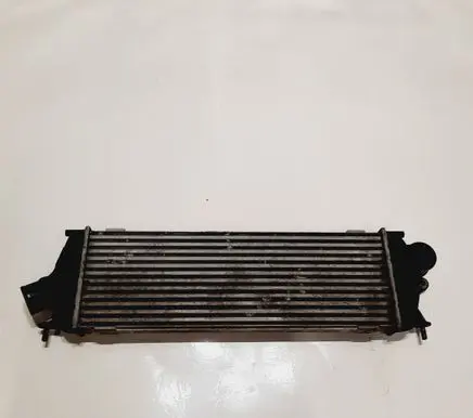 Opel Vivaro Intercooler radiator 8200411160
