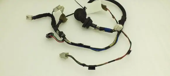 Front door wiring loom