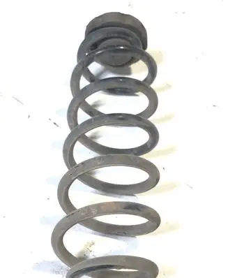 Audi Q5 SQ5 Rear coil spring