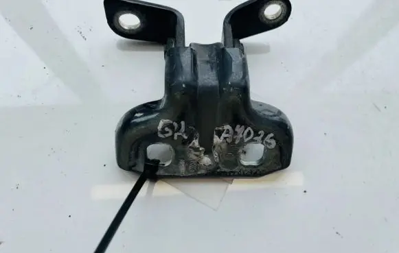 Chevrolet Cruze Rear door lower hinge
