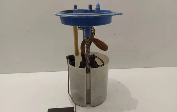 Volkswagen Golf V In-tank fuel pump A2C53166110