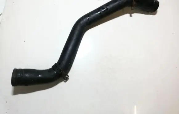 Renault Scenic I Engine coolant pipe/hose