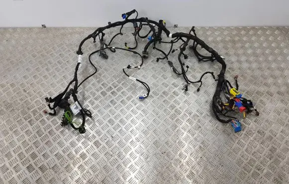 Citroen Jumpy Panel wiring 9817818780 113812