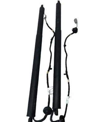 Ford Kuga III Tailgate/trunk strut/damper LV4BS402A55AF LV4BS402A54AF