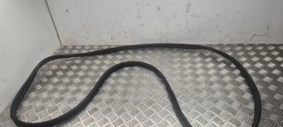Nissan Ariya Front door rubber seal 