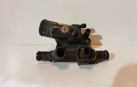 Thermostat/thermostat housing