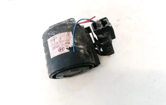 Hyundai Trajet Alarm system siren 