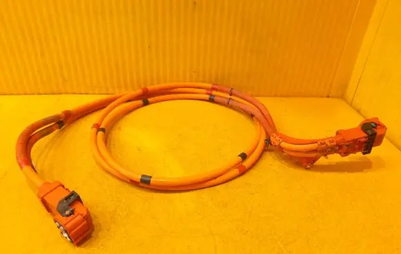 Tesla Model 3 Other wiring loom 110900300E