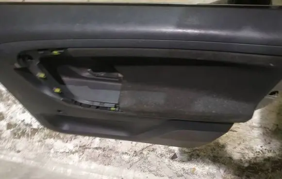 Skoda Roomster (5J) Rear door card panel trim 