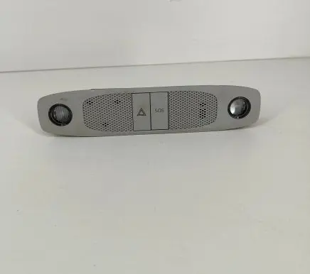 Tesla Model 3 Front seat light 109257299C