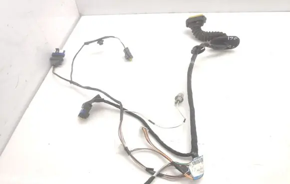Rear door wiring loom