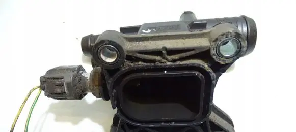 Thermostat/thermostat housing
