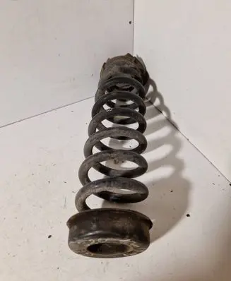 Rear coil spring