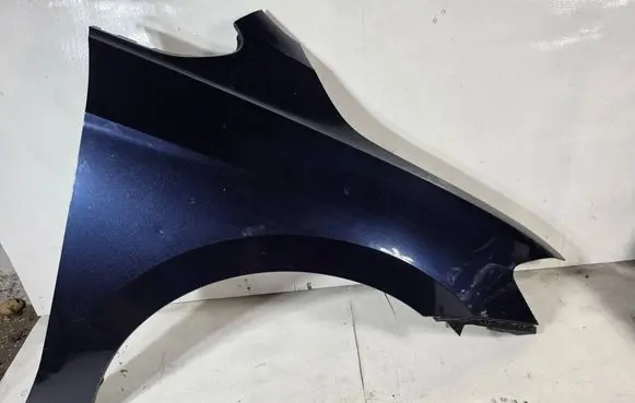 Volkswagen Golf Sportsvan Fender BLOTNIKPPSPORTSVAN