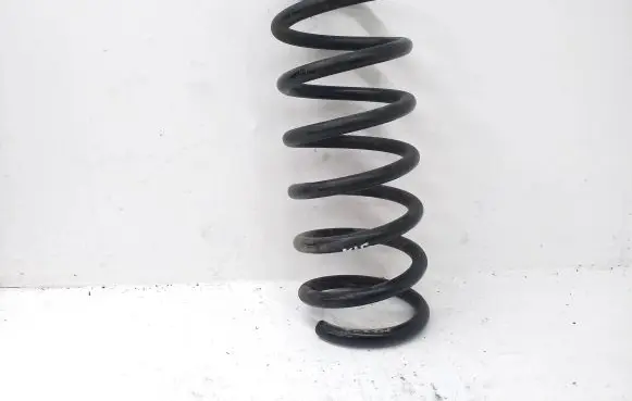 Ford S-MAX Rear coil spring