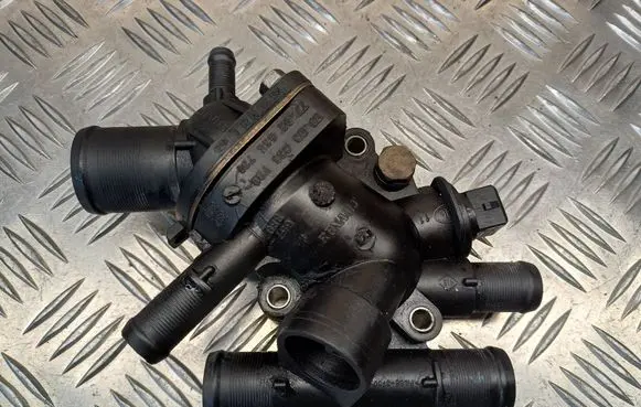 Thermostat/thermostat housing