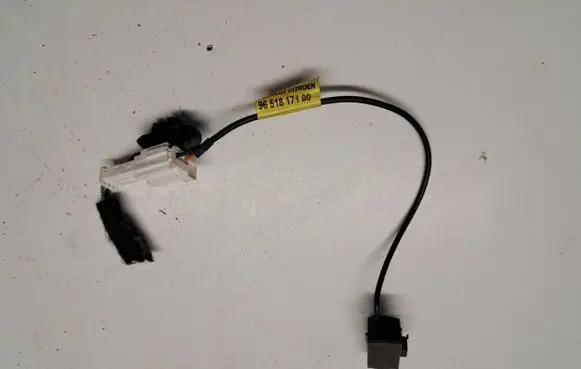 Citroen DS5 Microphone (bluetooth/phone) 9651817180