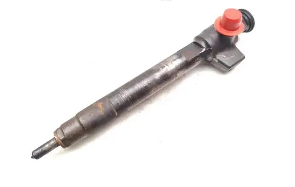 Peugeot Boxer Fuel injector 9824388280
