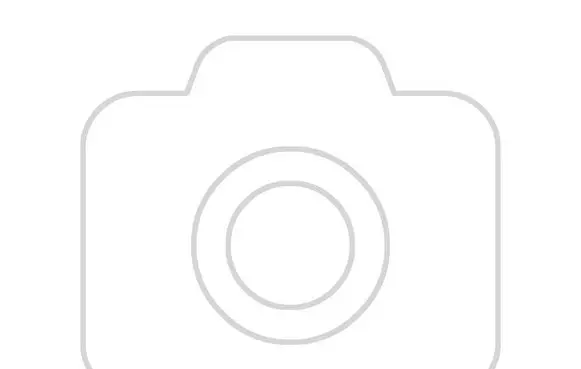 Toyota Yaris Hazard light switch 83950-0D050A