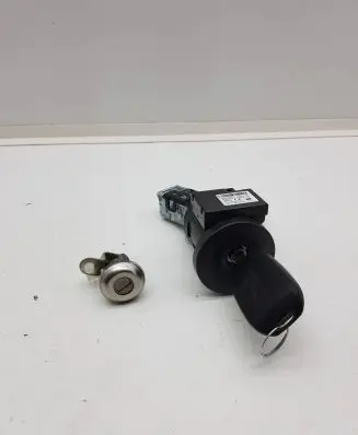 Dacia Spring Ignition lock 28591D001R F2027G979 4419AAW1102